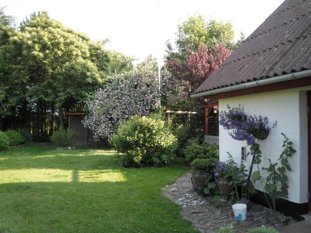 Lille Degnbol Villa Ngoại thất bức ảnh